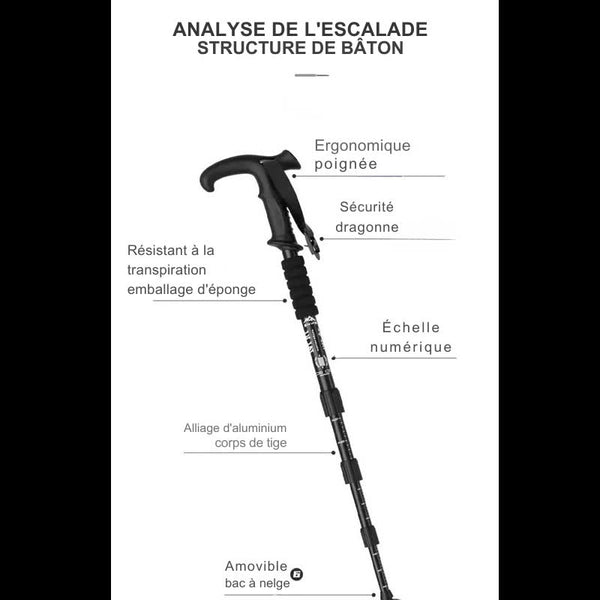 Analyse de la structure des bâtons de randonnée, poignées ergonomiques, échelle numérique