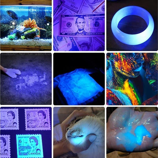Application de lumière UV sur divers objets et scènes, idéale pour détection et inspection