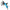 Couteau de survie bleu avec lame et outils en acier ouverts, parfait pour le camping et les aventures