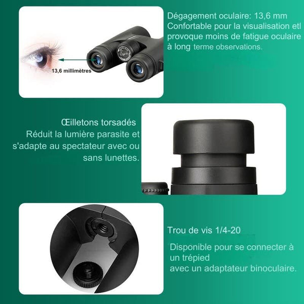 Caractéristiques des jumelles SV40 avec dégagement oculaire et œilletons torsadés
