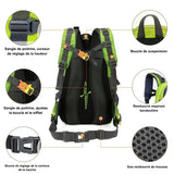 Dos du sac à dos de randonnée vert 40 L, bretelles et ceinture ajustables