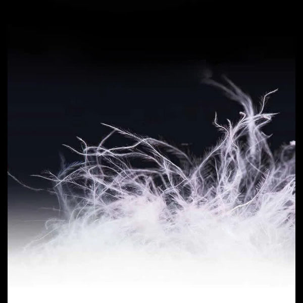Duvet d'oie blanche pour sac de couchage, structure des plumes en gros plan