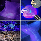 Lampe de poche UV montrant les taches et les scorpions, avant et après utilisation