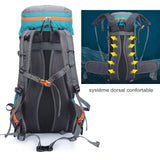 Système dorsal confortable du sac à dos de camping 65 L avec bretelles réglables