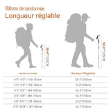 Bâtons de randonnée et trek, ultra légers, confort et stabilité