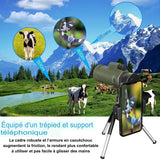 Télescope avec support téléphonique pour observer des animaux à différentes distances